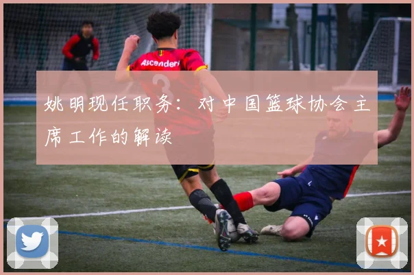 姚明现任职务:对中国篮球协会主席工作的解读