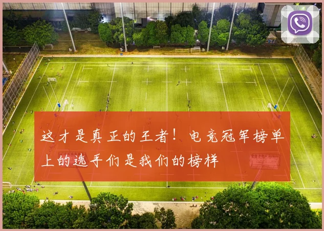 这才是真正的王者!电竞冠军榜单上的选手们是我们的榜样